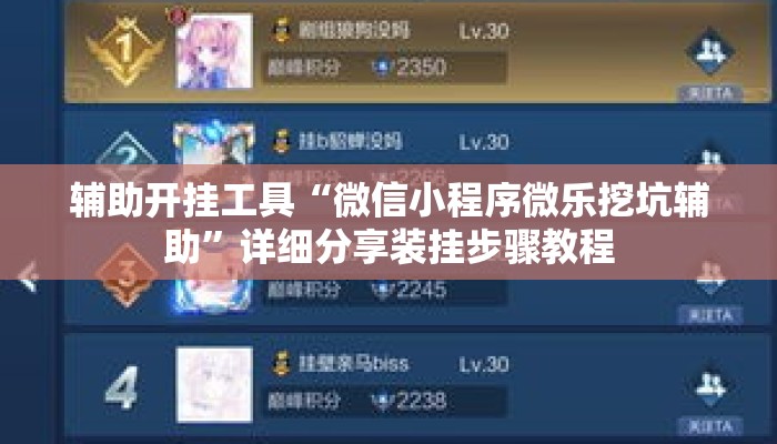 辅助开挂工具“微信小程序微乐挖坑辅助”详细分享装挂步骤教程
