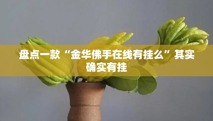 盘点一款“金华佛手在线有挂么”其实确实有挂