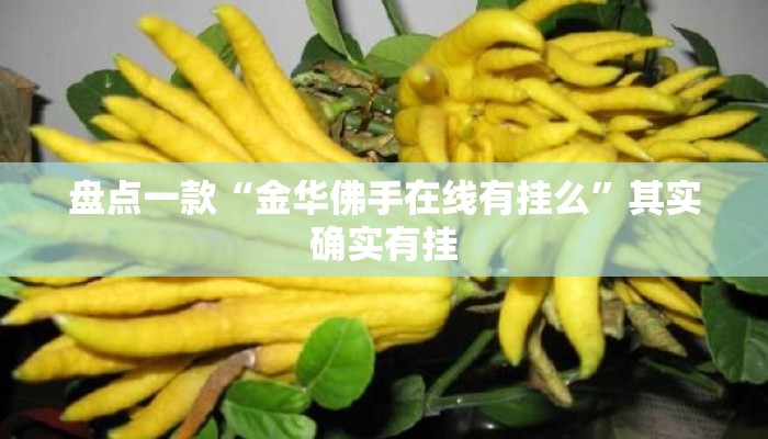 盘点一款“金华佛手在线有挂么”其实确实有挂
