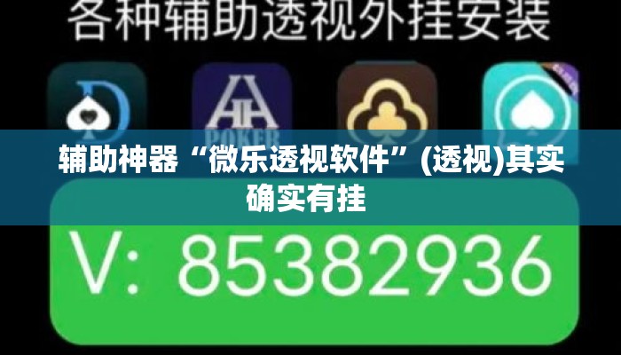 辅助神器“微乐透视软件”(透视)其实确实有挂 