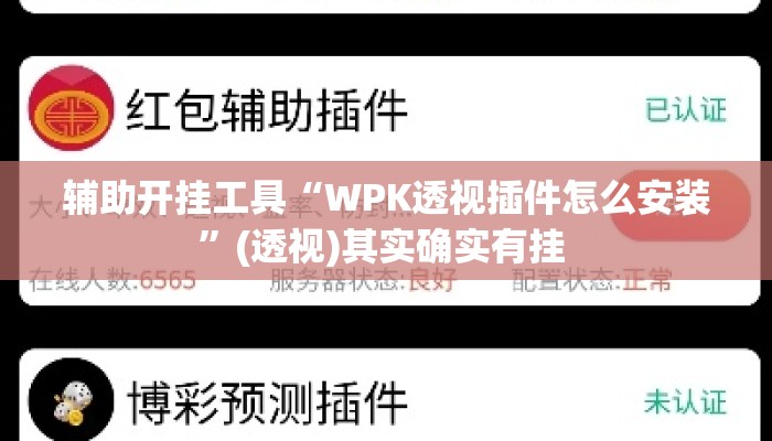 辅助开挂工具“WPK透视插件怎么安装	”(透视)其实确实有挂 