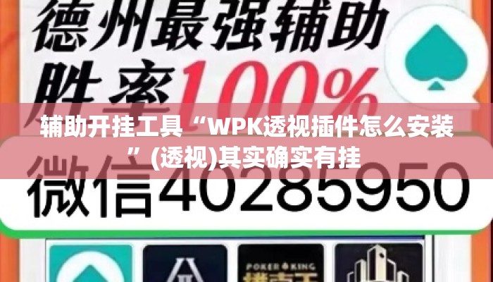 辅助开挂工具“WPK透视插件怎么安装”(透视)其实确实有挂 