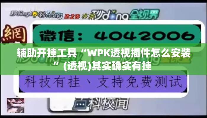 辅助开挂工具“WPK透视插件怎么安装”(透视)其实确实有挂 