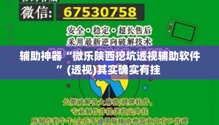 辅助神器“微乐陕西挖坑透视辅助软件	”(透视)其实确实有挂 