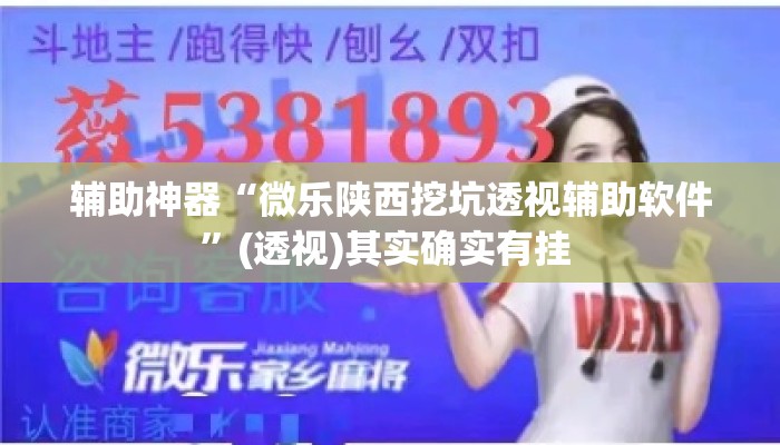 辅助神器“微乐陕西挖坑透视辅助软件”(透视)其实确实有挂 