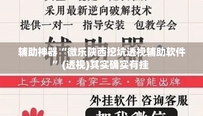 辅助神器“微乐陕西挖坑透视辅助软件”(透视)其实确实有挂 
