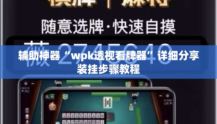 辅助神器“wpk透视看牌器	”详细分享装挂步骤教程