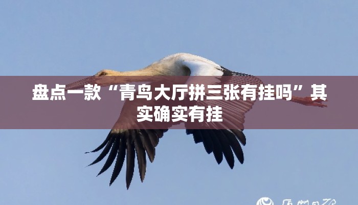 盘点一款“青鸟大厅拼三张有挂吗”其实确实有挂