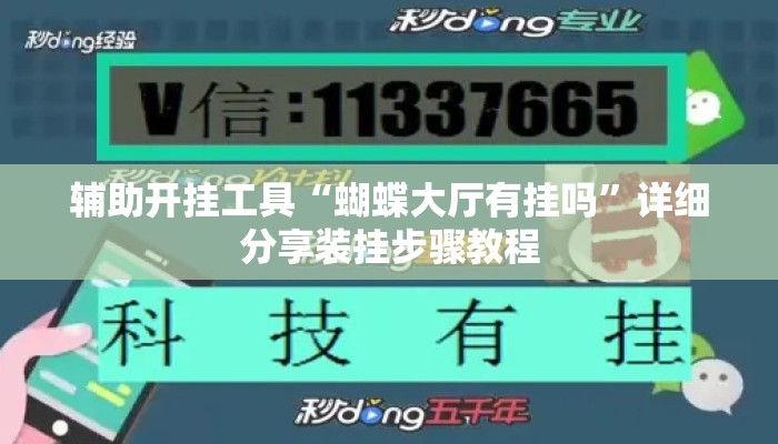 辅助开挂工具“蝴蝶大厅有挂吗”详细分享装挂步骤教程