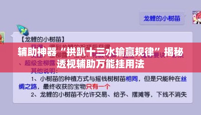 辅助神器“拱趴十三水输赢规律”揭秘透视辅助万能挂用法