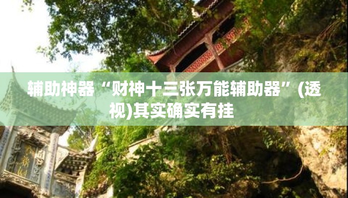 辅助神器“财神十三张万能辅助器”(透视)其实确实有挂 