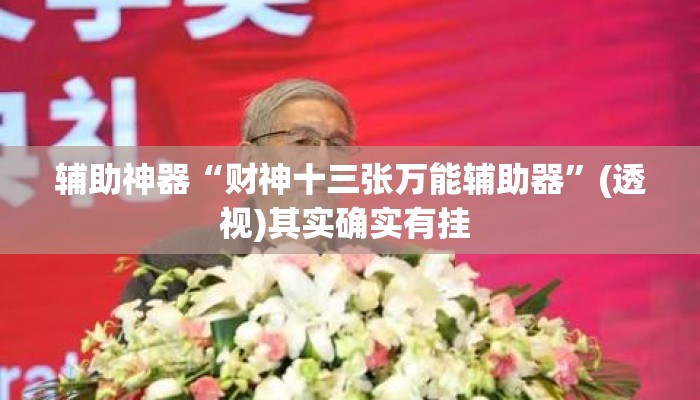 辅助神器“财神十三张万能辅助器”(透视)其实确实有挂 