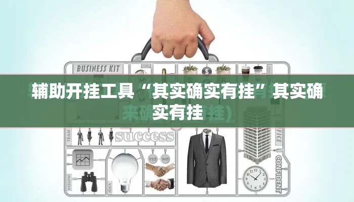 辅助开挂工具“其实确实有挂”其实确实有挂