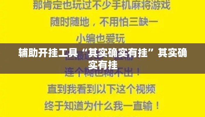 辅助开挂工具“其实确实有挂”其实确实有挂
