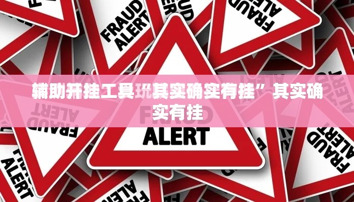 辅助开挂工具“其实确实有挂”其实确实有挂