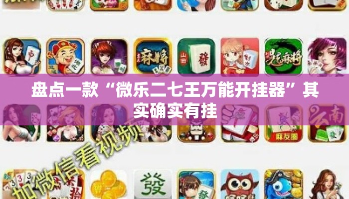 盘点一款“微乐二七王万能开挂器”其实确实有挂