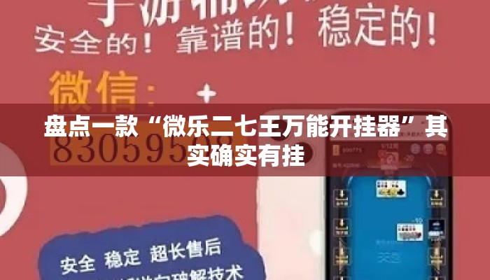盘点一款“微乐二七王万能开挂器”其实确实有挂