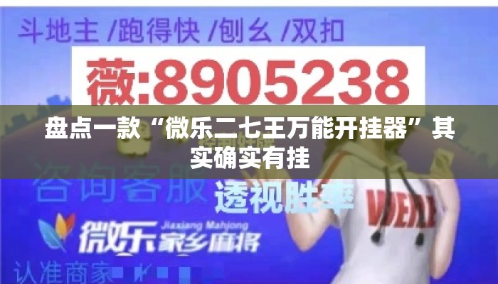 盘点一款“微乐二七王万能开挂器	”其实确实有挂