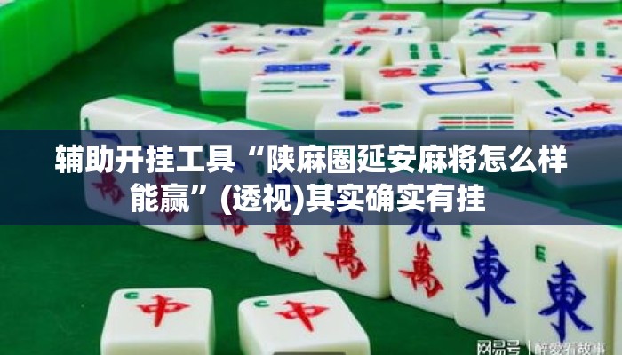 辅助开挂工具“陕麻圈延安麻将怎么样能赢	”(透视)其实确实有挂 