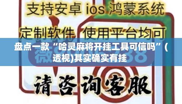 盘点一款“哈灵麻将开挂工具可信吗”(透视)其实确实有挂 