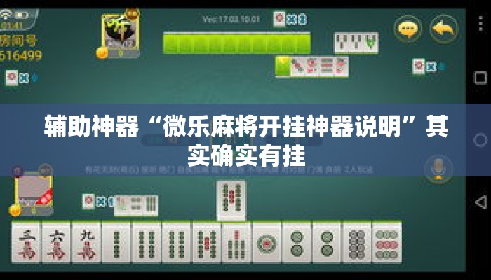 辅助神器“微乐麻将开挂神器说明”其实确实有挂