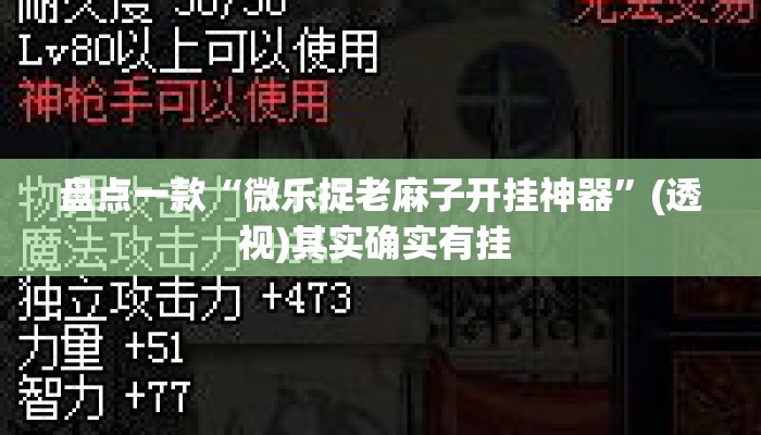 盘点一款“微乐捉老麻子开挂神器	”(透视)其实确实有挂 