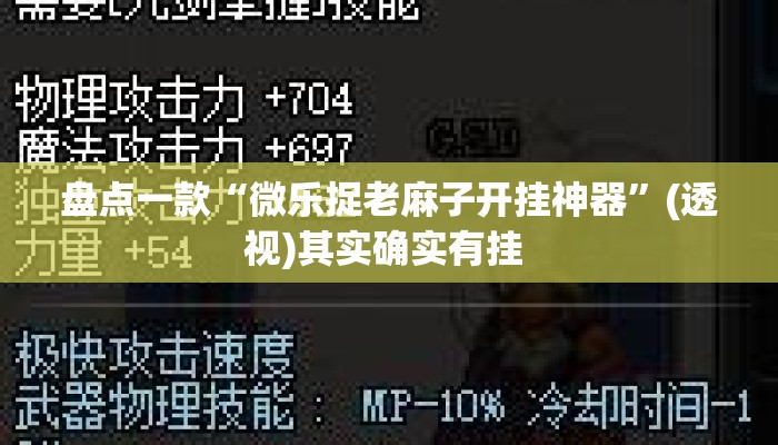 盘点一款“微乐捉老麻子开挂神器	”(透视)其实确实有挂 