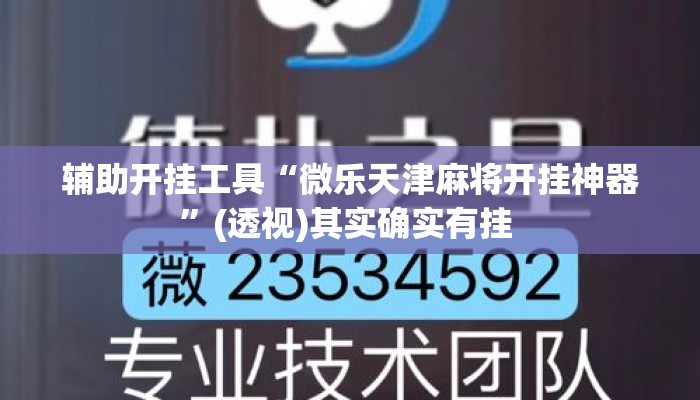 辅助开挂工具“微乐天津麻将开挂神器	”(透视)其实确实有挂 