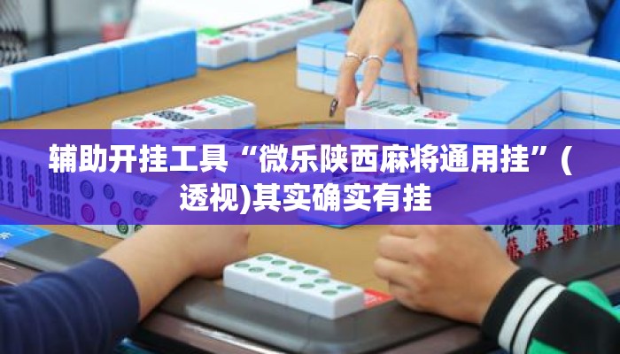 辅助开挂工具“微乐陕西麻将通用挂	”(透视)其实确实有挂 