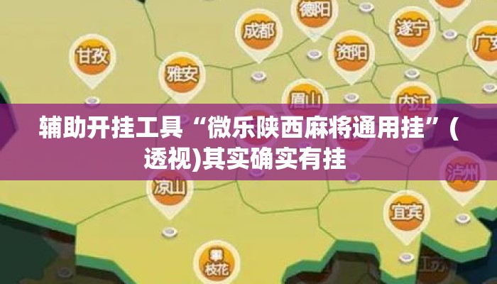 辅助开挂工具“微乐陕西麻将通用挂”(透视)其实确实有挂 