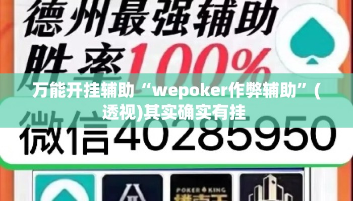 万能开挂辅助“wepoker作弊辅助”(透视)其实确实有挂 