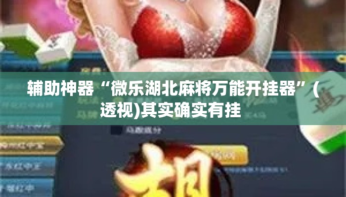 辅助神器“微乐湖北麻将万能开挂器”(透视)其实确实有挂 