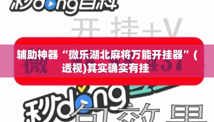辅助神器“微乐湖北麻将万能开挂器”(透视)其实确实有挂 