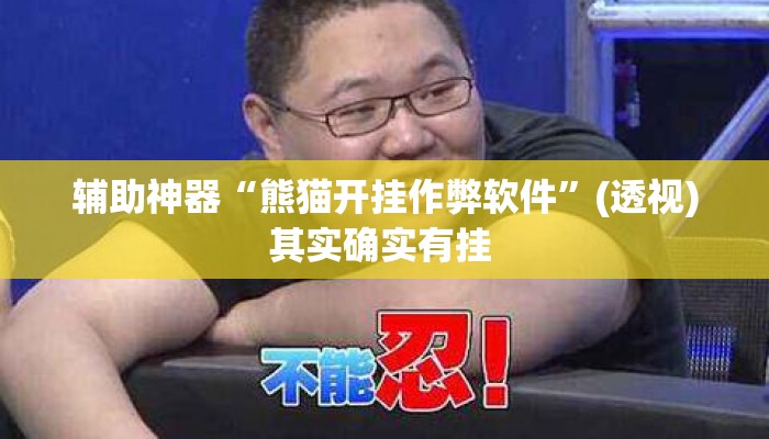 辅助神器“熊猫开挂作弊软件”(透视)其实确实有挂 