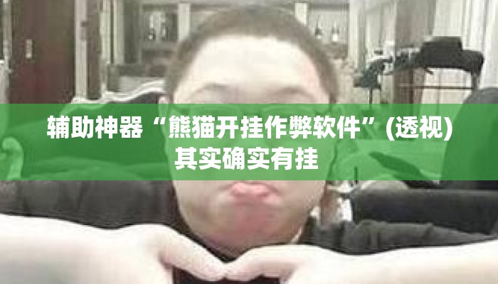 辅助神器“熊猫开挂作弊软件	”(透视)其实确实有挂 