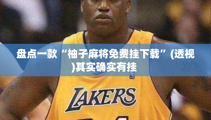 盘点一款“柚子麻将免费挂下载”(透视)其实确实有挂 