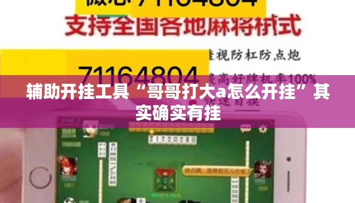 辅助开挂工具“哥哥打大a怎么开挂”其实确实有挂