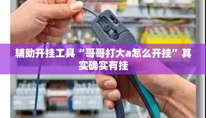 辅助开挂工具“哥哥打大a怎么开挂”其实确实有挂