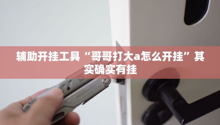 辅助开挂工具“哥哥打大a怎么开挂	”其实确实有挂