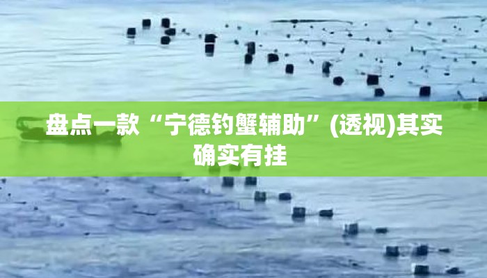 盘点一款“宁德钓蟹辅助	”(透视)其实确实有挂 