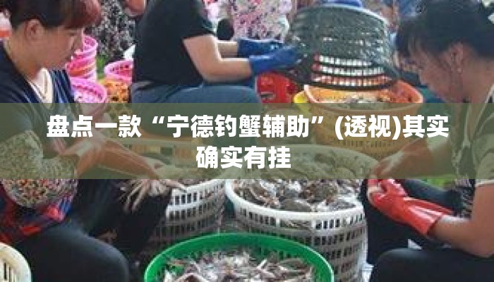 盘点一款“宁德钓蟹辅助	”(透视)其实确实有挂 