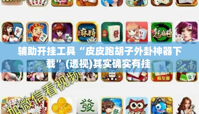 辅助开挂工具“皮皮跑胡子外卦神器下载”(透视)其实确实有挂 