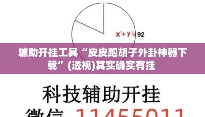 辅助开挂工具“皮皮跑胡子外卦神器下载”(透视)其实确实有挂 
