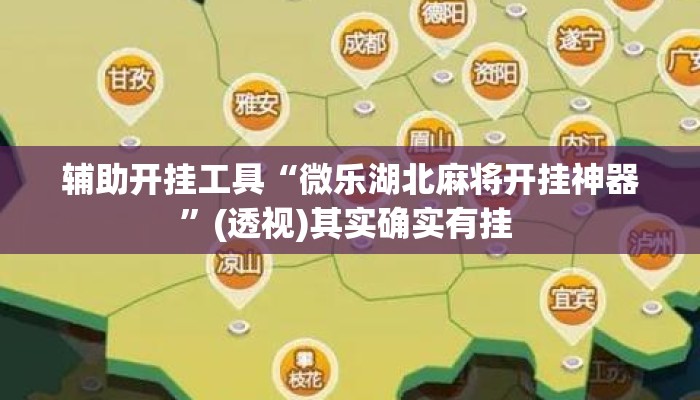 辅助开挂工具“微乐湖北麻将开挂神器	”(透视)其实确实有挂 