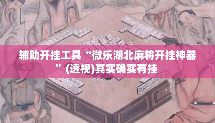 辅助开挂工具“微乐湖北麻将开挂神器”(透视)其实确实有挂 