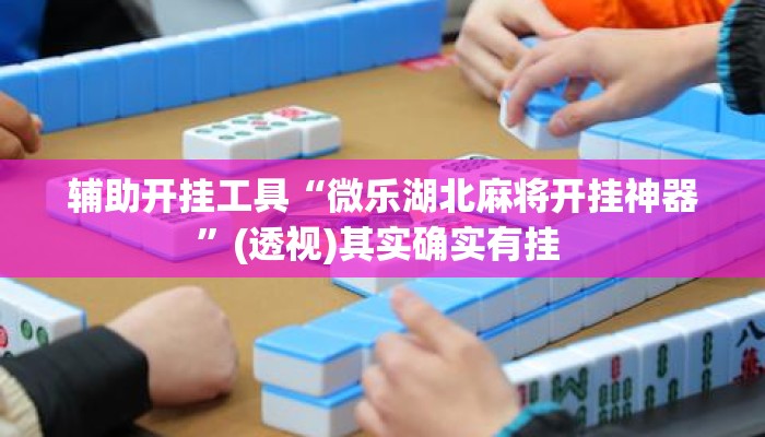 辅助开挂工具“微乐湖北麻将开挂神器	”(透视)其实确实有挂 