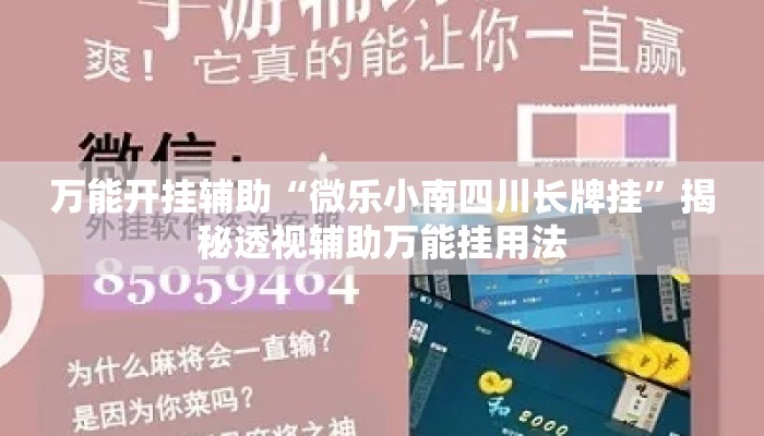 万能开挂辅助“微乐小南四川长牌挂”揭秘透视辅助万能挂用法