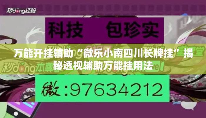 万能开挂辅助“微乐小南四川长牌挂”揭秘透视辅助万能挂用法