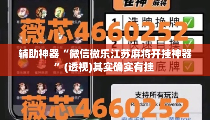 辅助神器“微信微乐江苏麻将开挂神器”(透视)其实确实有挂 