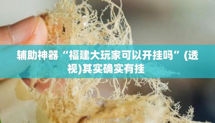 辅助神器“福建大玩家可以开挂吗”(透视)其实确实有挂 